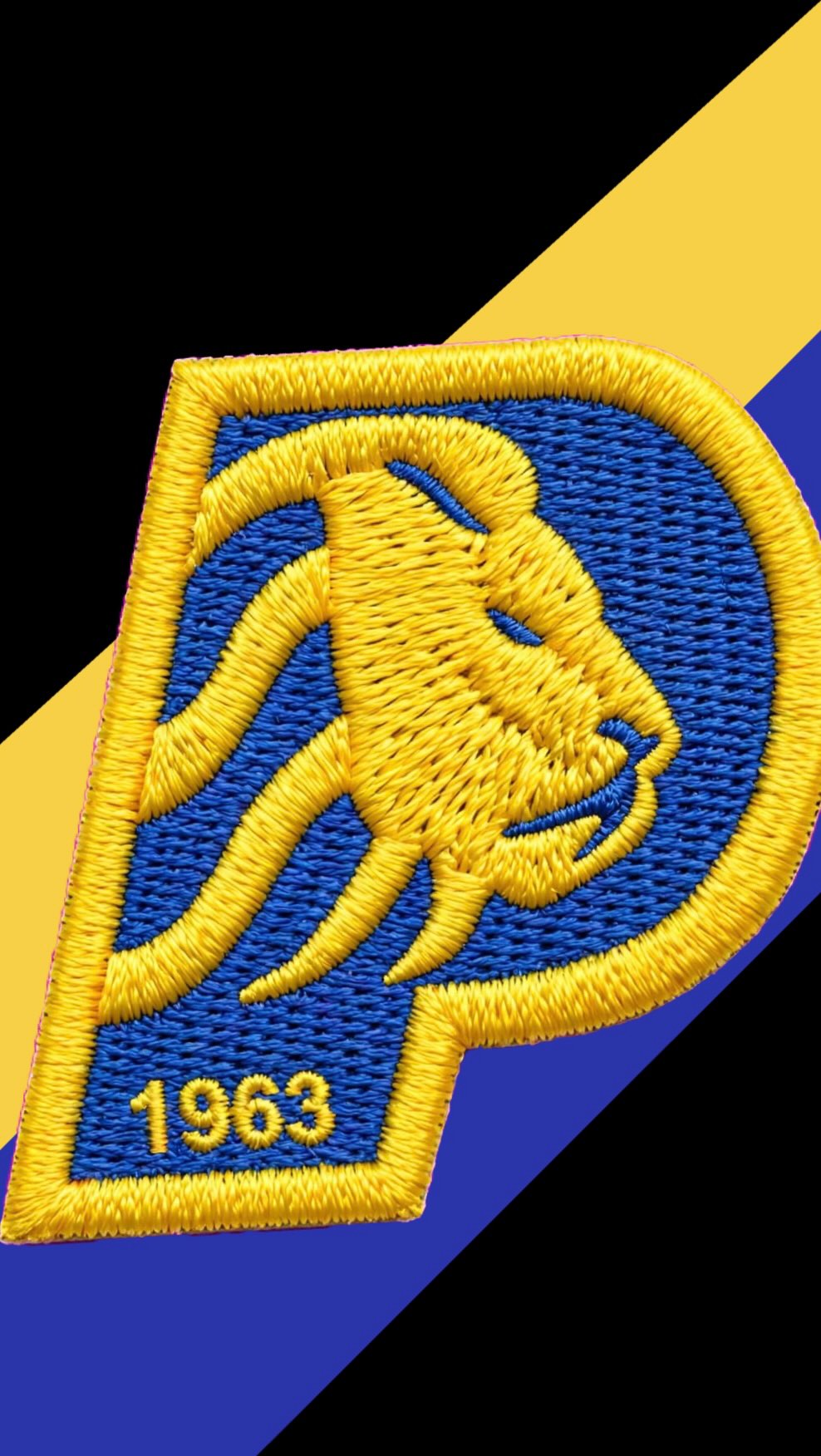 Polisportiva Paradiso Collegno